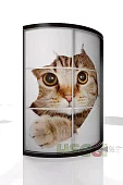 Радиусный шкаф-купе Мебелеф-12 Бежевый
